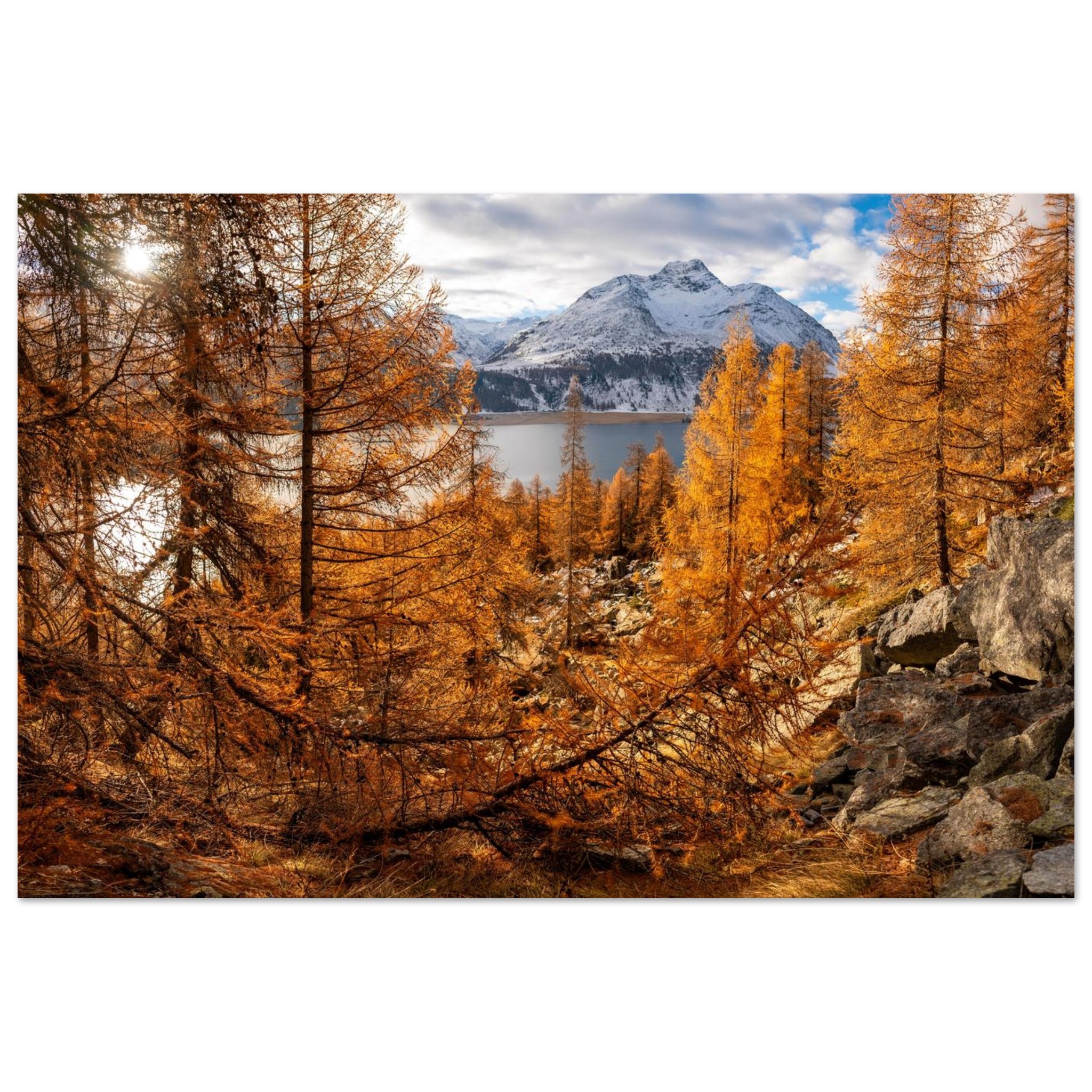 4b49b572-1b91-4c12-bc15-f1a8e282e213